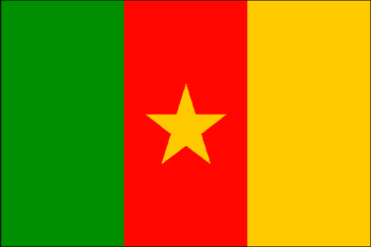 image flag Republic of Cameroon