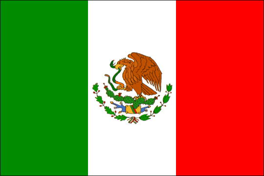state flag Unaited States of Mexico 1st