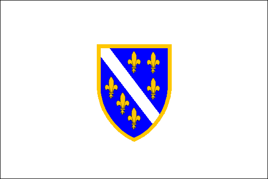 state flag Republic of Bosnia and Herzegovina