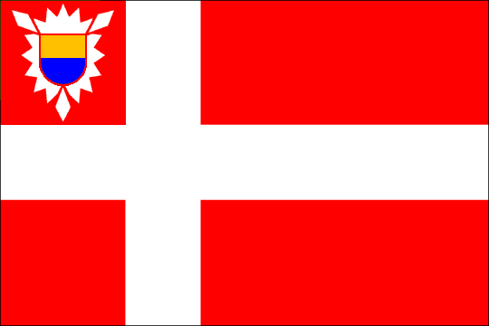state flag 